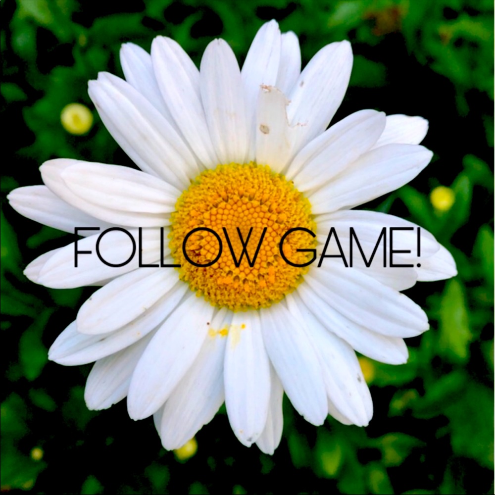 Follow Game 2🌻